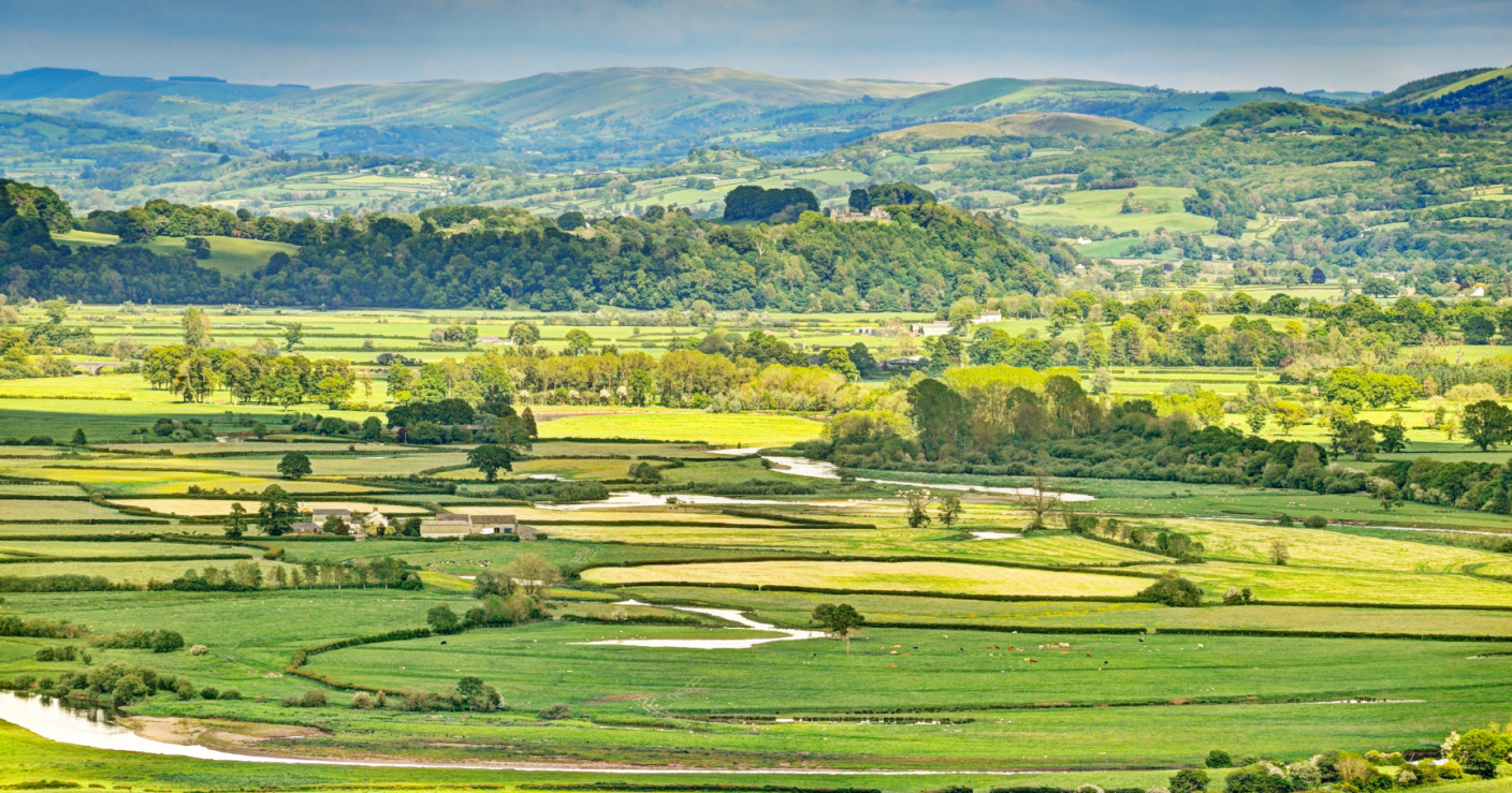 Gluten Free places to eat in Llanelli