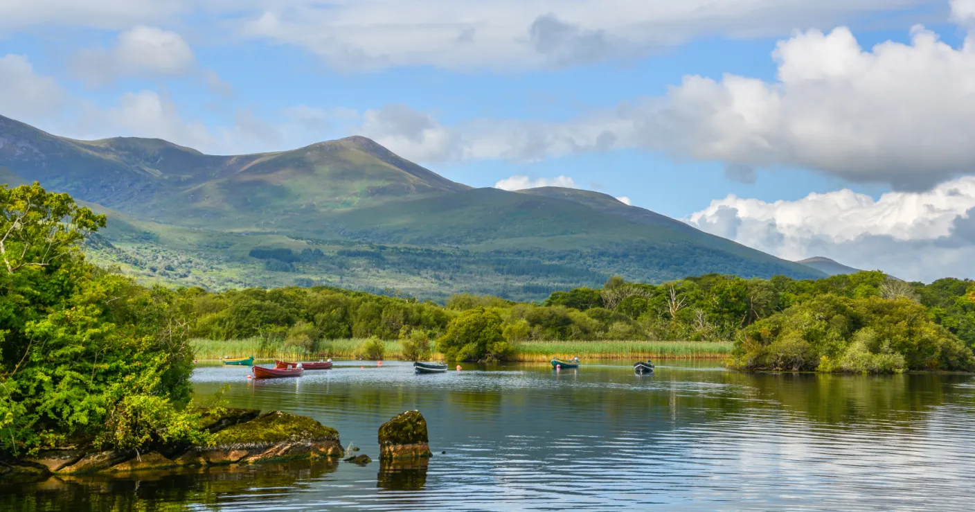 Gluten Free places to eat in Dingle