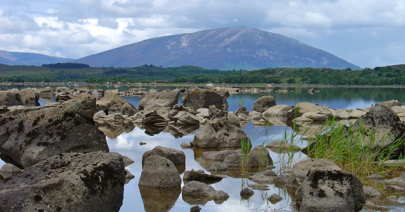 Gluten Free places to eat in Castlebar