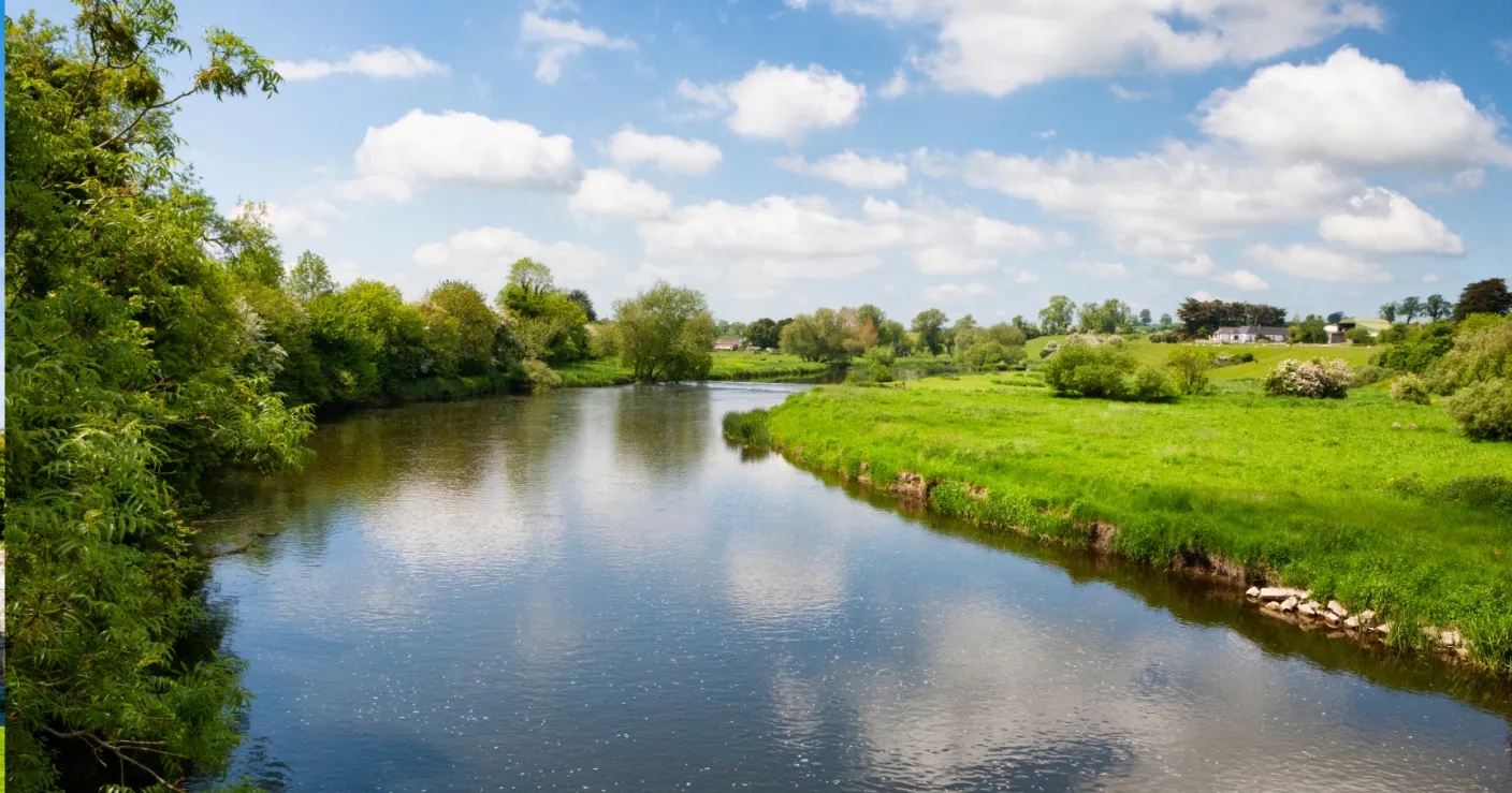 Gluten Free places to eat in Meath