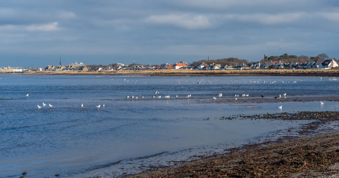 Gluten Free places to eat in South Ayrshire