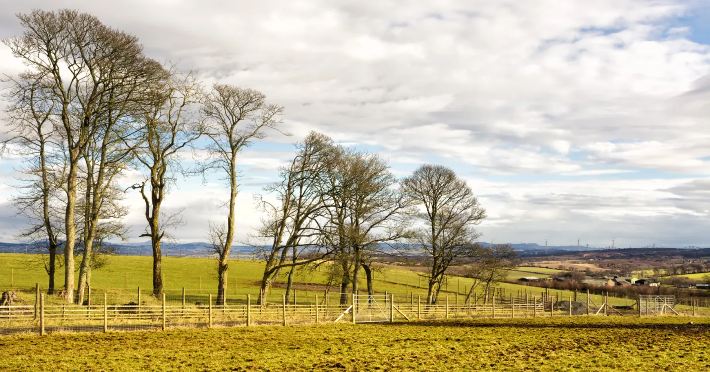 Gluten Free places to eat in West Lothian