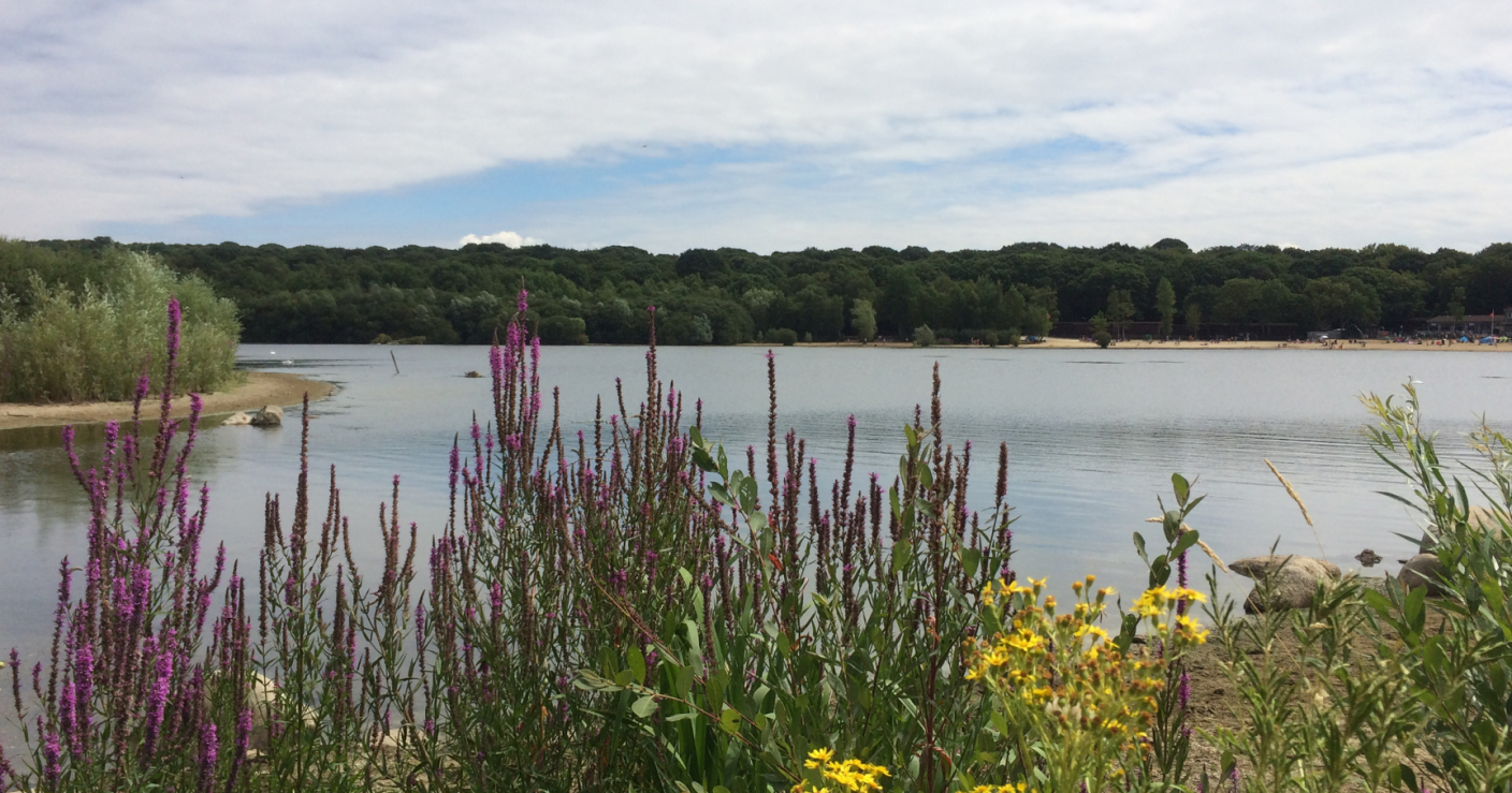 Gluten Free places to eat in Ruislip