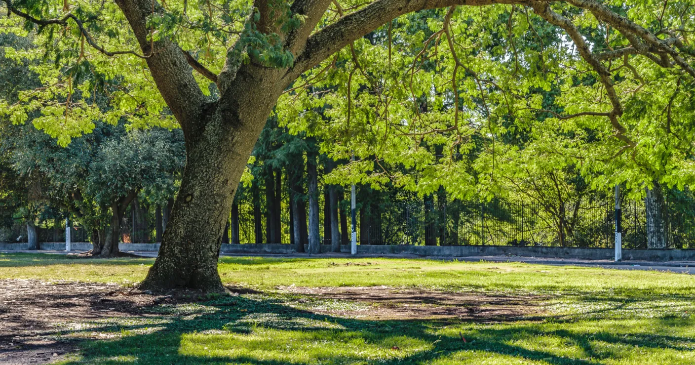 Gluten Free places to eat in Merton