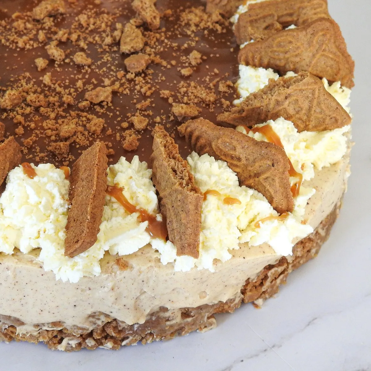 Gluten Free "Biscoff" Style Spekulatius Cheesecake