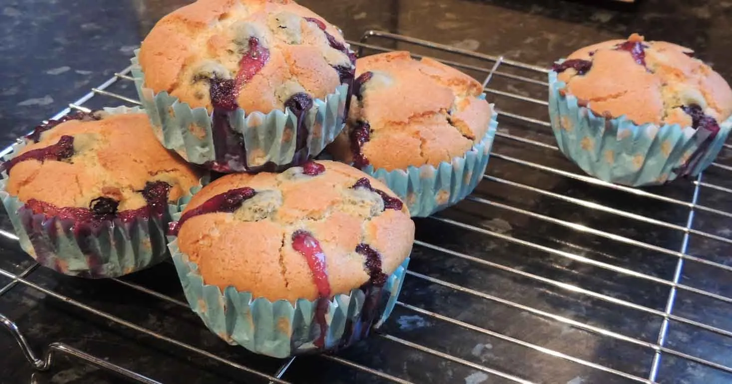 Gluten Free Blueberry and Lemon Muffins