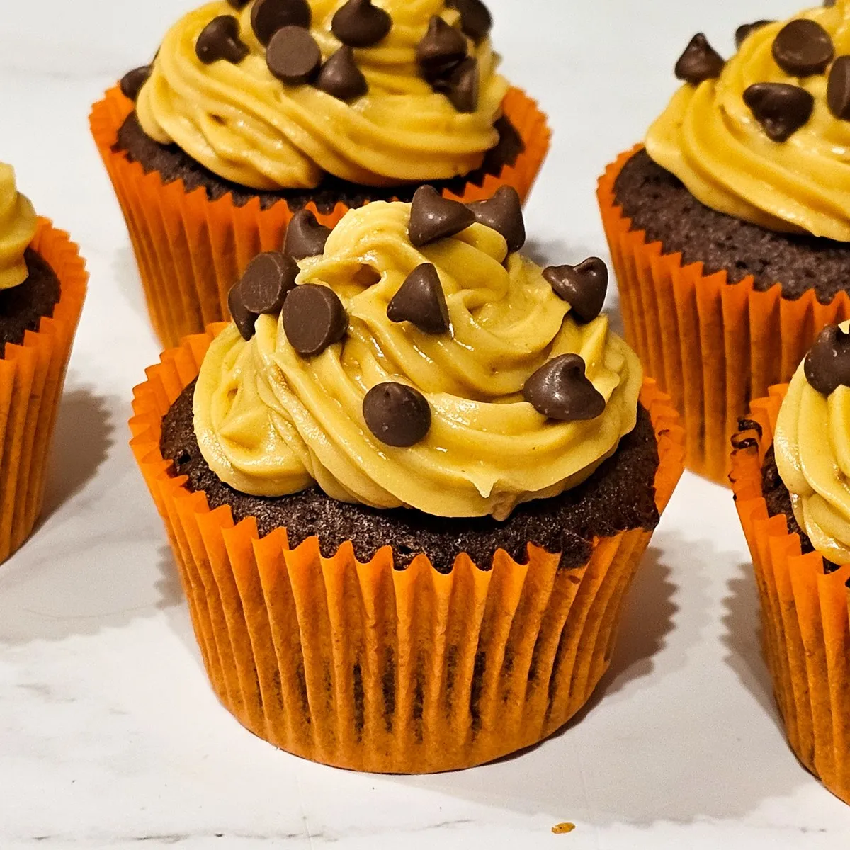 Gluten Free Chocolate Peanut Butter Cakes