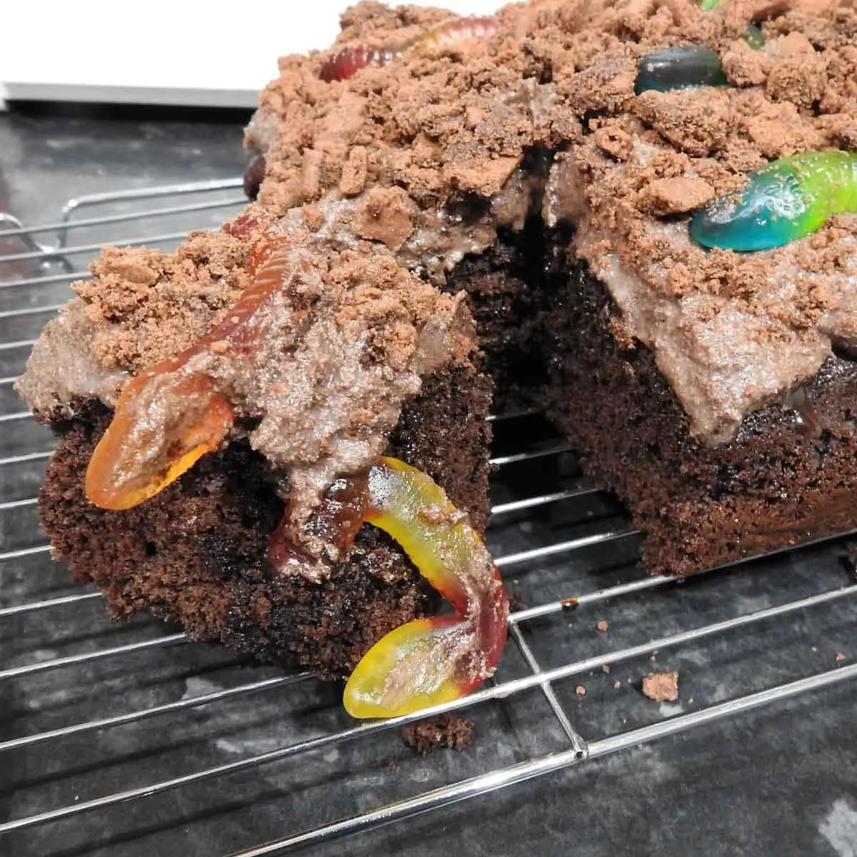 Gluten Free Worm Chocolate Poke Cake
