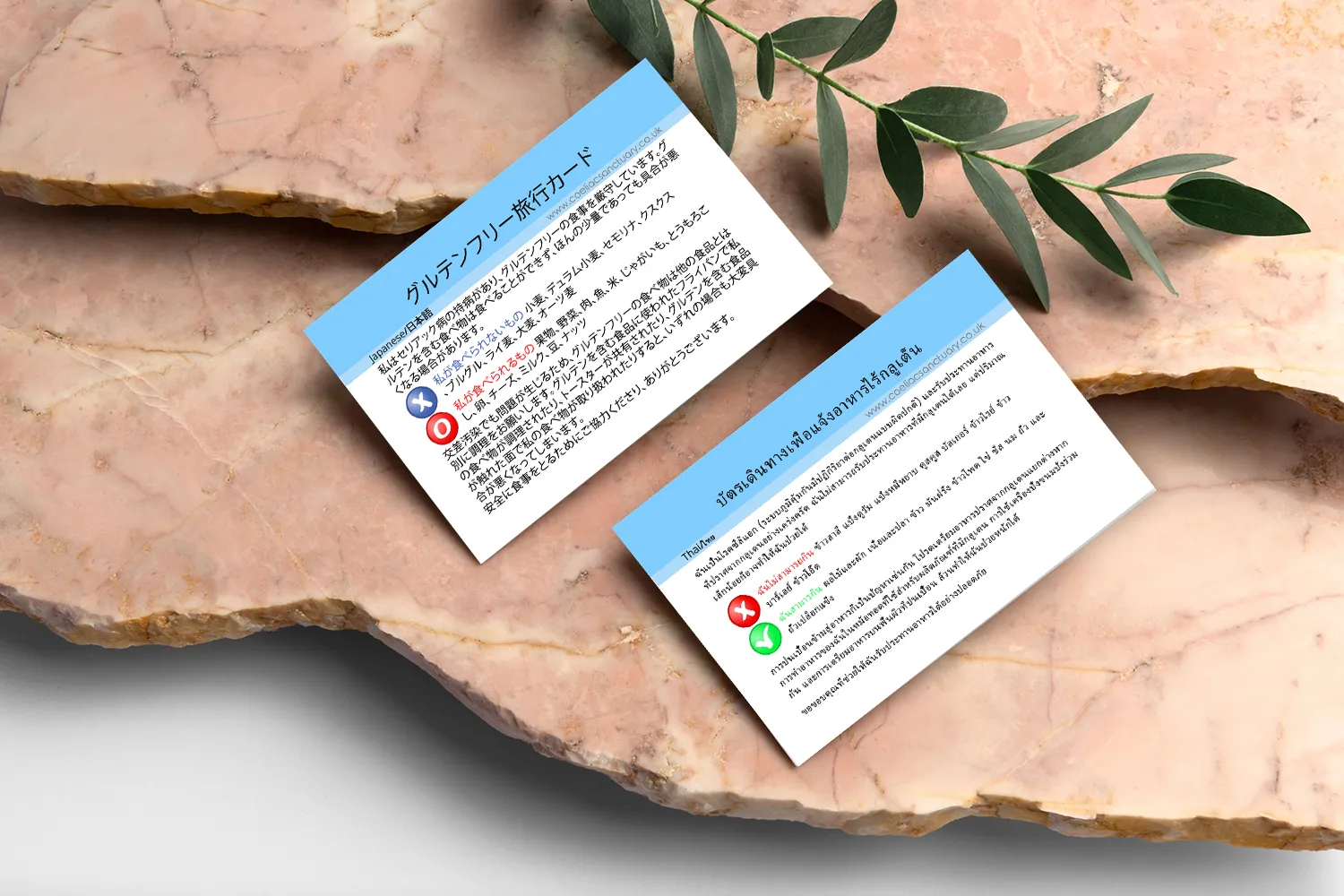 Defective Japanese and Thai Coeliac Gluten Free Travel Translation Card