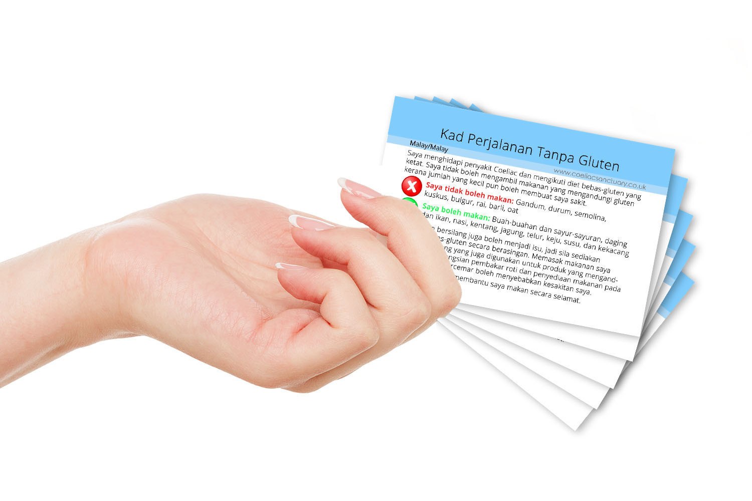 Full Set Coeliac Gluten Free Travel Translation Card